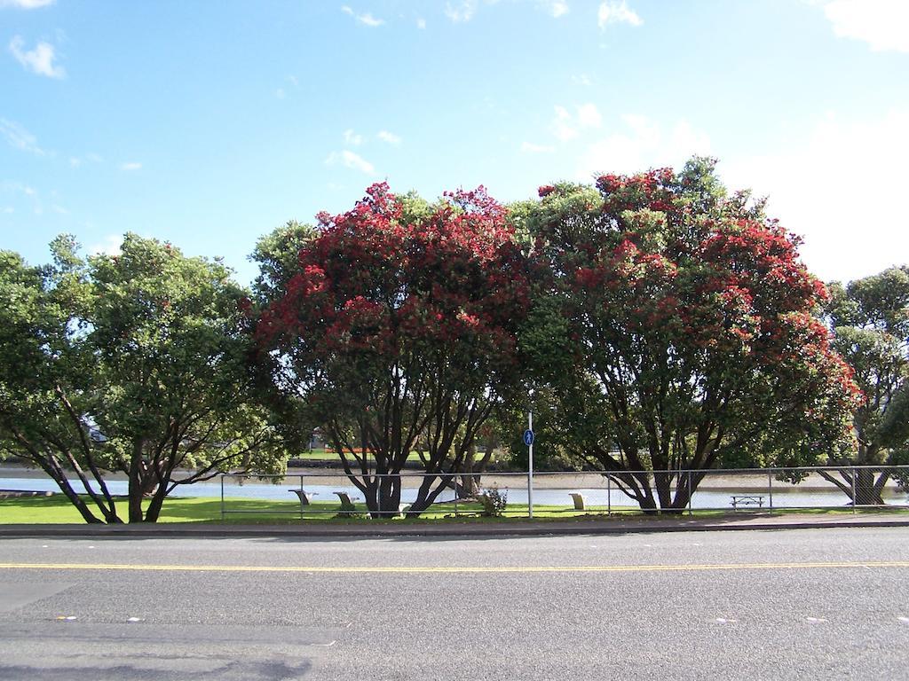 Bed and Breakfast Kauri Nest Whangarei Exterior foto