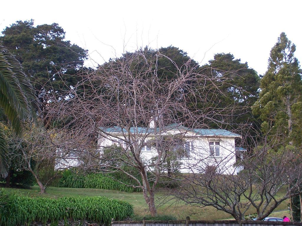 Bed and Breakfast Kauri Nest Whangarei Exterior foto
