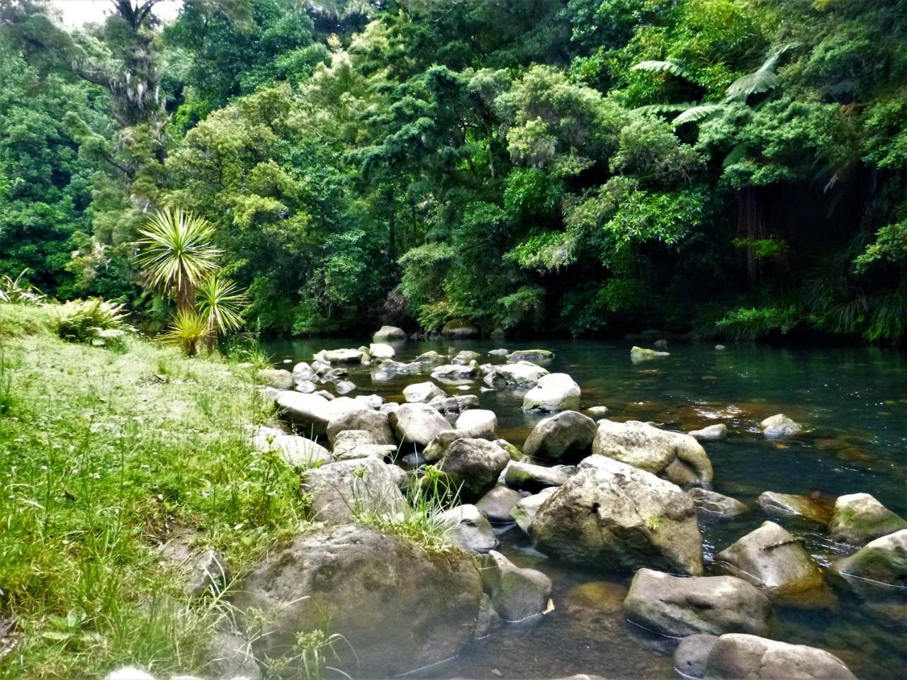 Bed and Breakfast Kauri Nest Whangarei Exterior foto