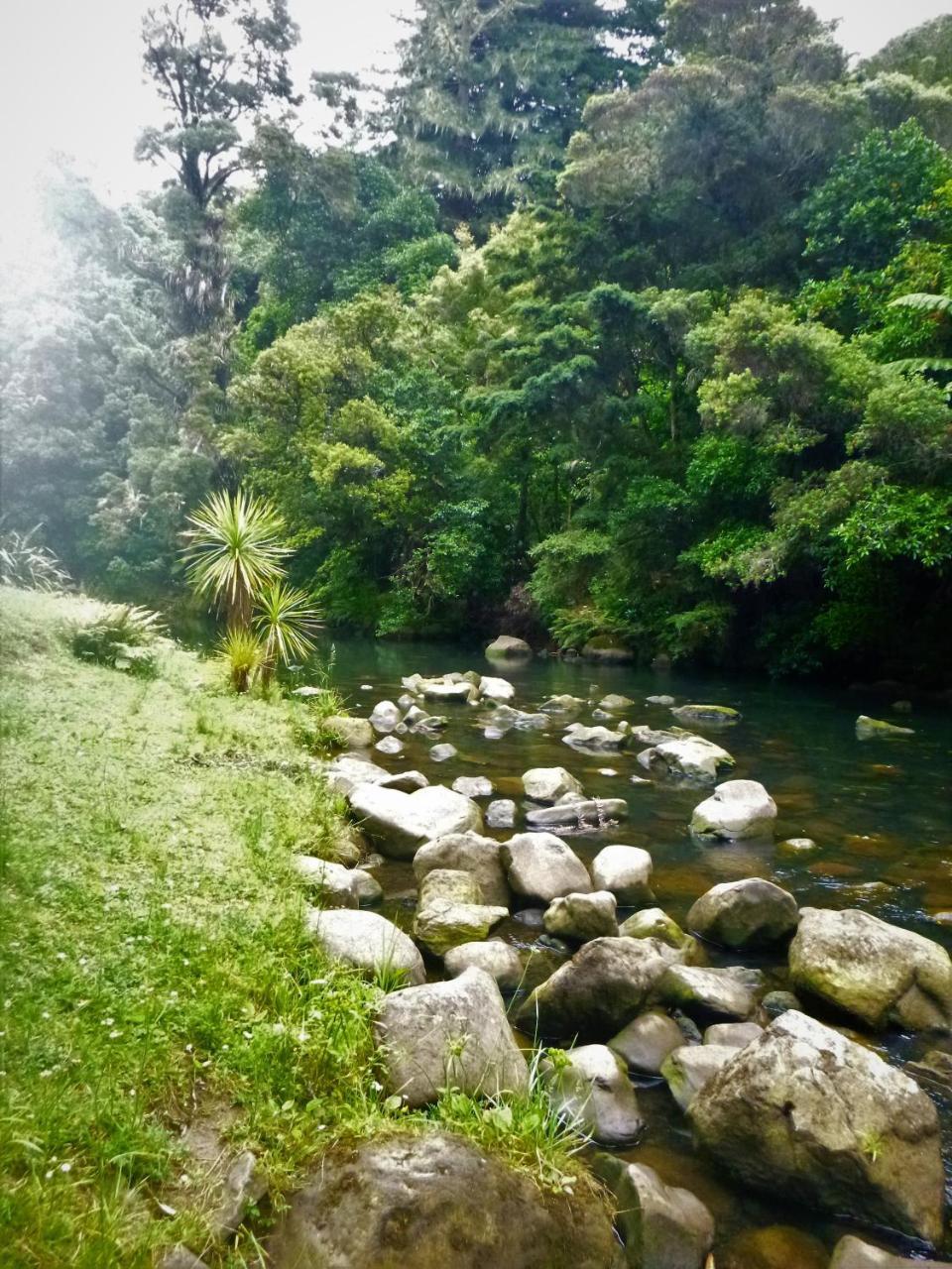 Bed and Breakfast Kauri Nest Whangarei Exterior foto
