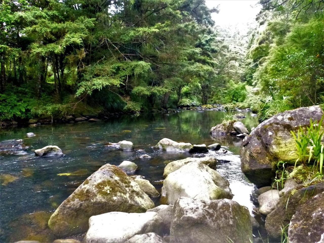 Bed and Breakfast Kauri Nest Whangarei Exterior foto