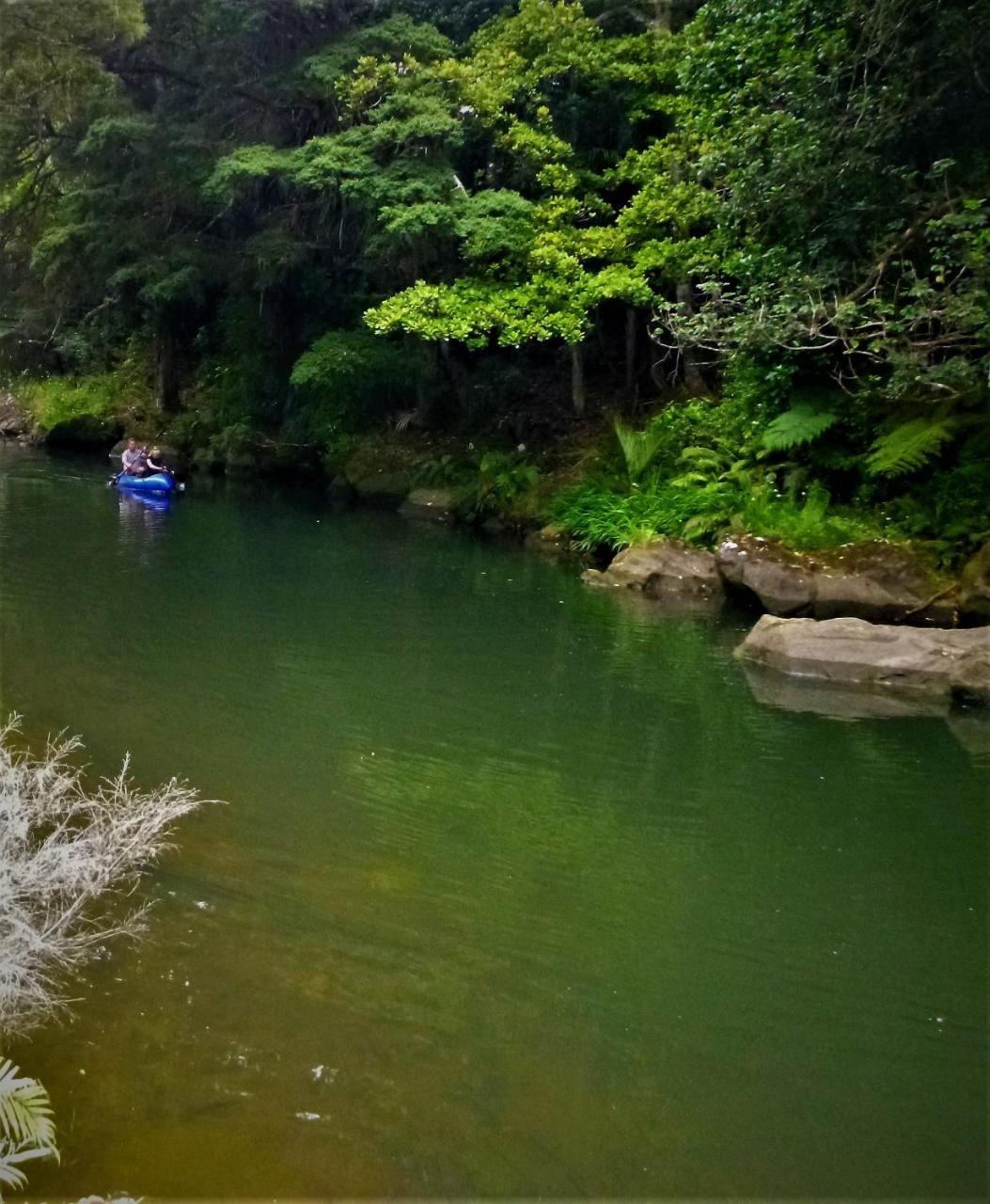 Bed and Breakfast Kauri Nest Whangarei Exterior foto