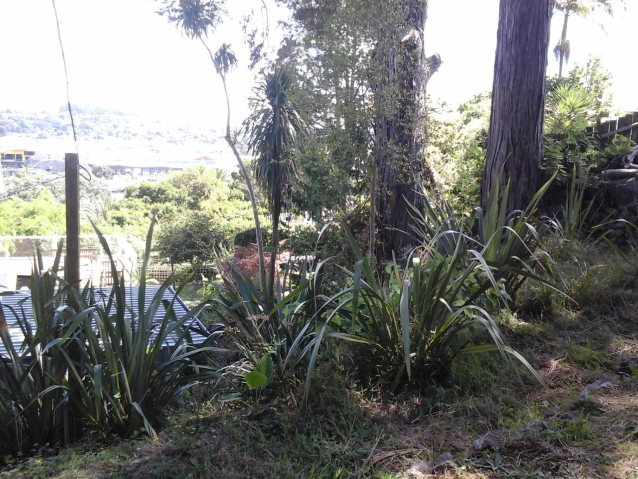 Bed and Breakfast Kauri Nest Whangarei Exterior foto