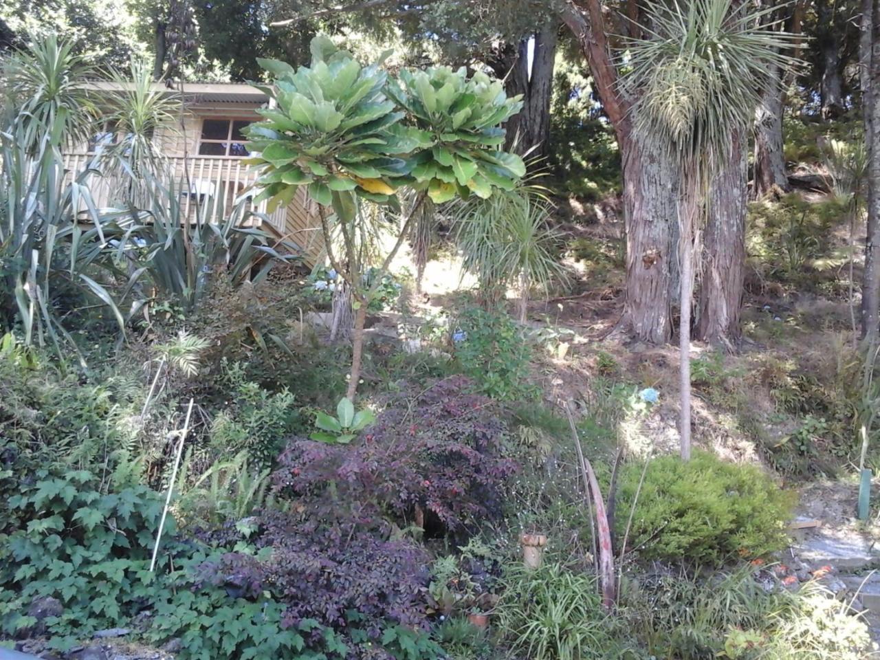 Bed and Breakfast Kauri Nest Whangarei Exterior foto