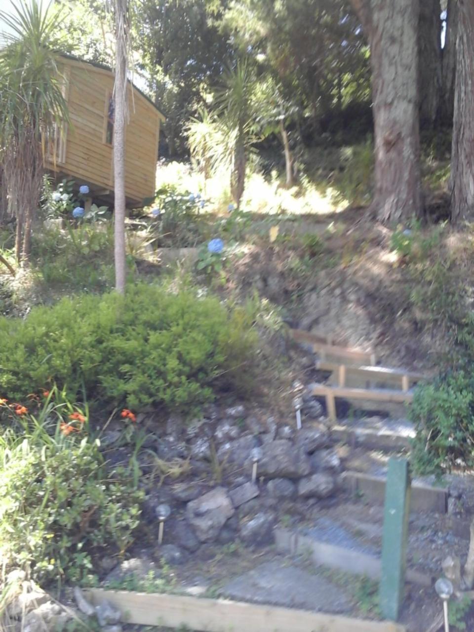 Bed and Breakfast Kauri Nest Whangarei Exterior foto