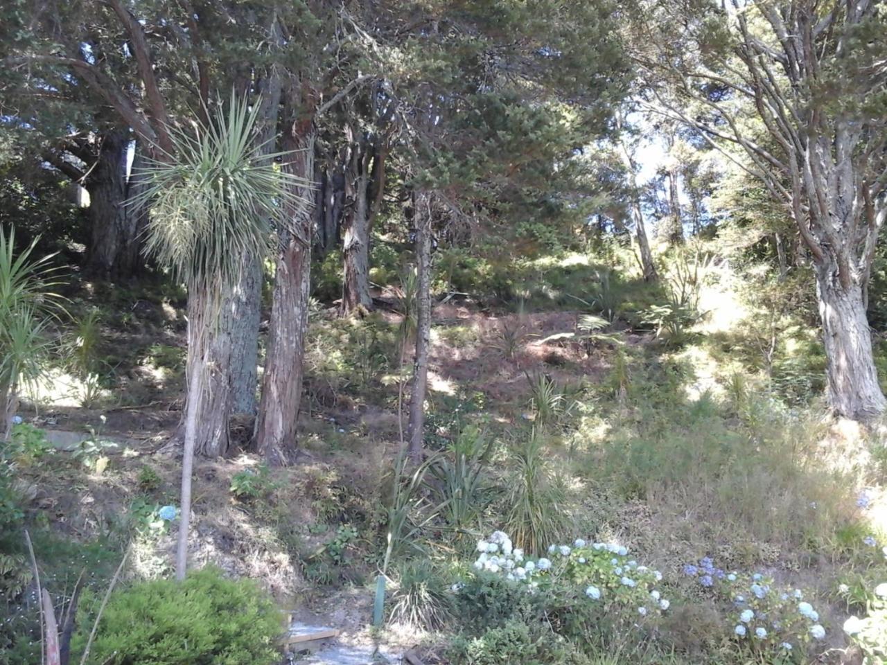 Bed and Breakfast Kauri Nest Whangarei Exterior foto